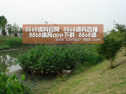案例展示四(图1)