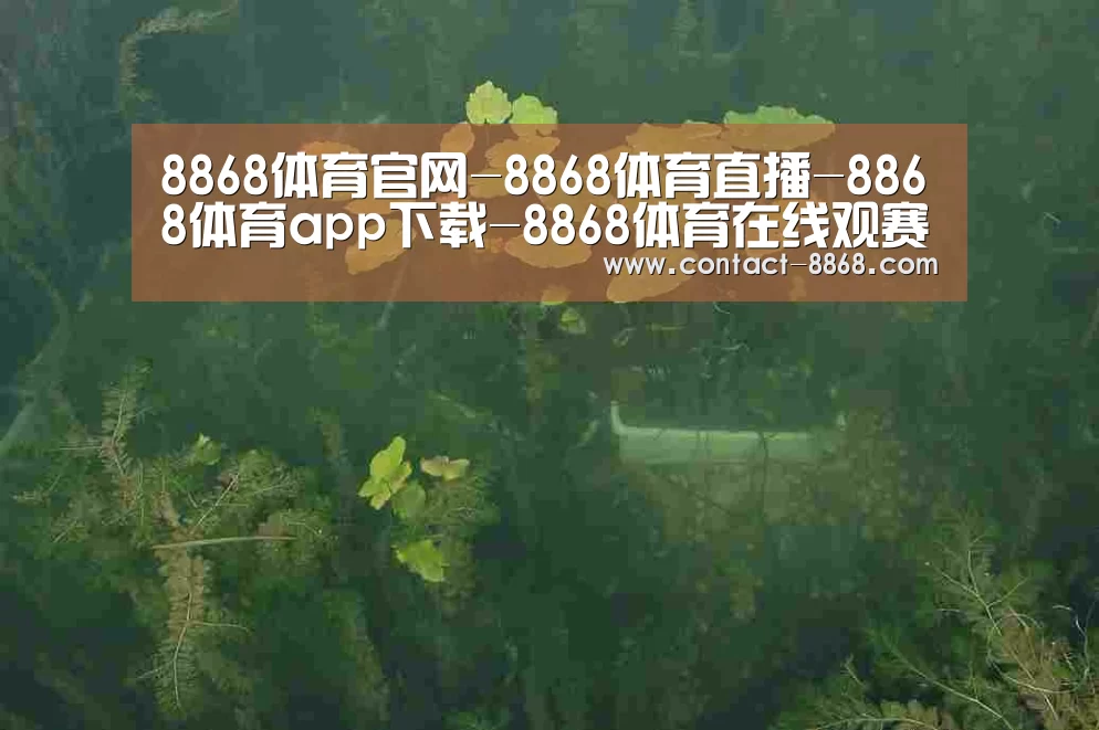 案例展示三