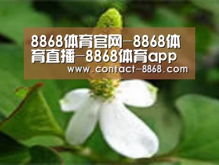 产品名称三