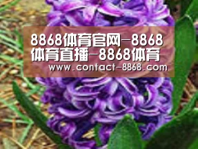 产品名称八