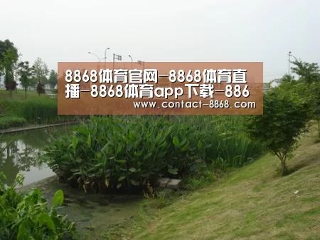 案例展示四