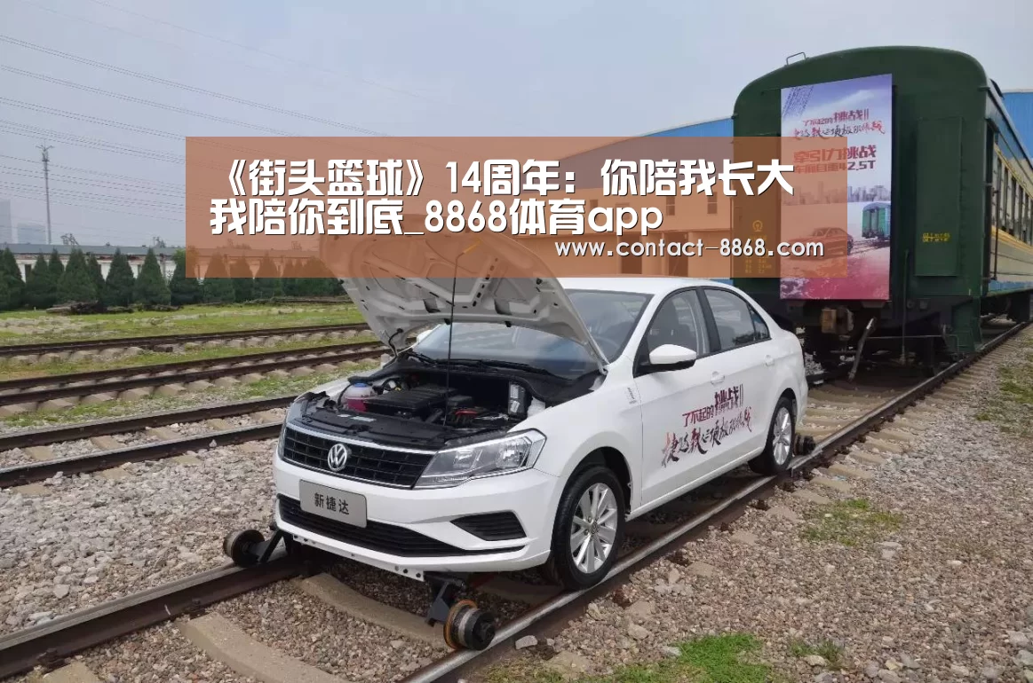 《街头篮球》14周年:你陪我长大 我陪你到底_8868体育app(图4) 8868体育官网